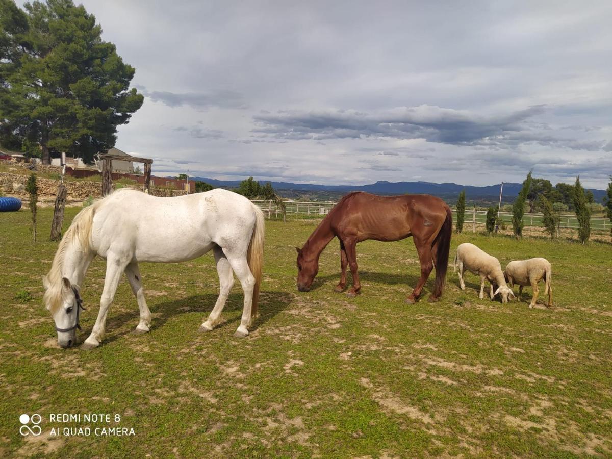 Casa Con Vistas, Piscina Y Animales De Granja, La Caseta ตาร์ราโกนา ภายนอก รูปภาพ