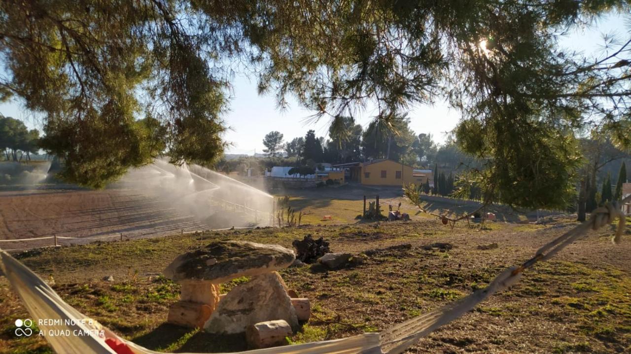 Casa Con Vistas, Piscina Y Animales De Granja, La Caseta ตาร์ราโกนา ภายนอก รูปภาพ