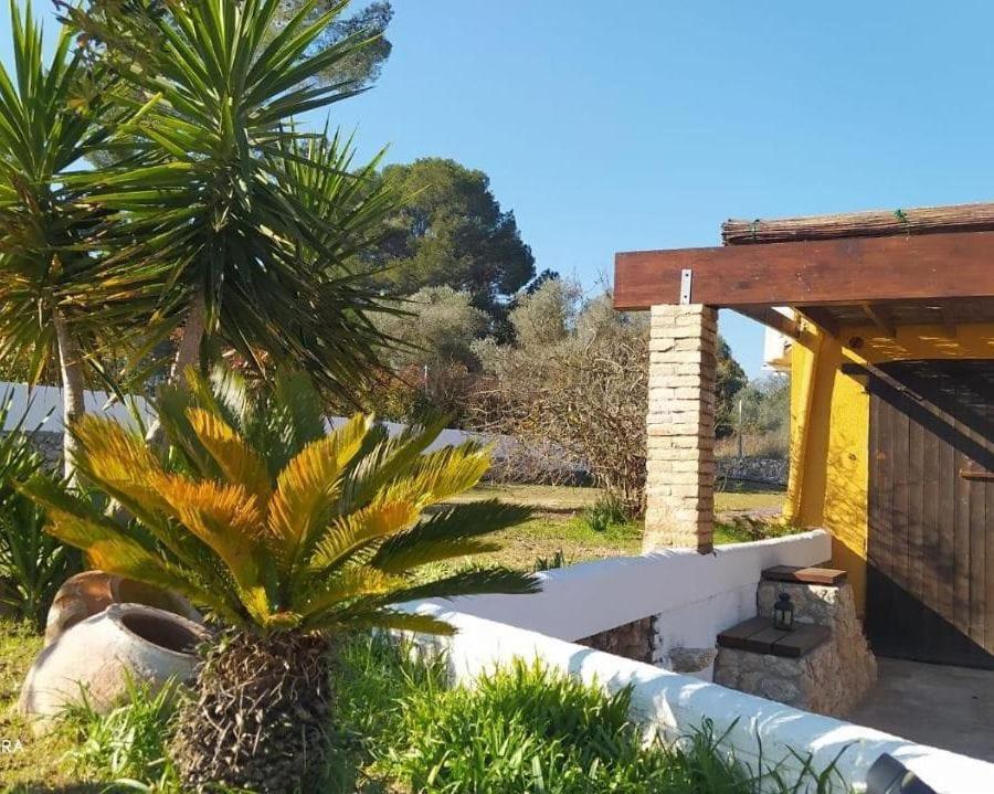 Casa Con Vistas, Piscina Y Animales De Granja, La Caseta ตาร์ราโกนา ภายนอก รูปภาพ